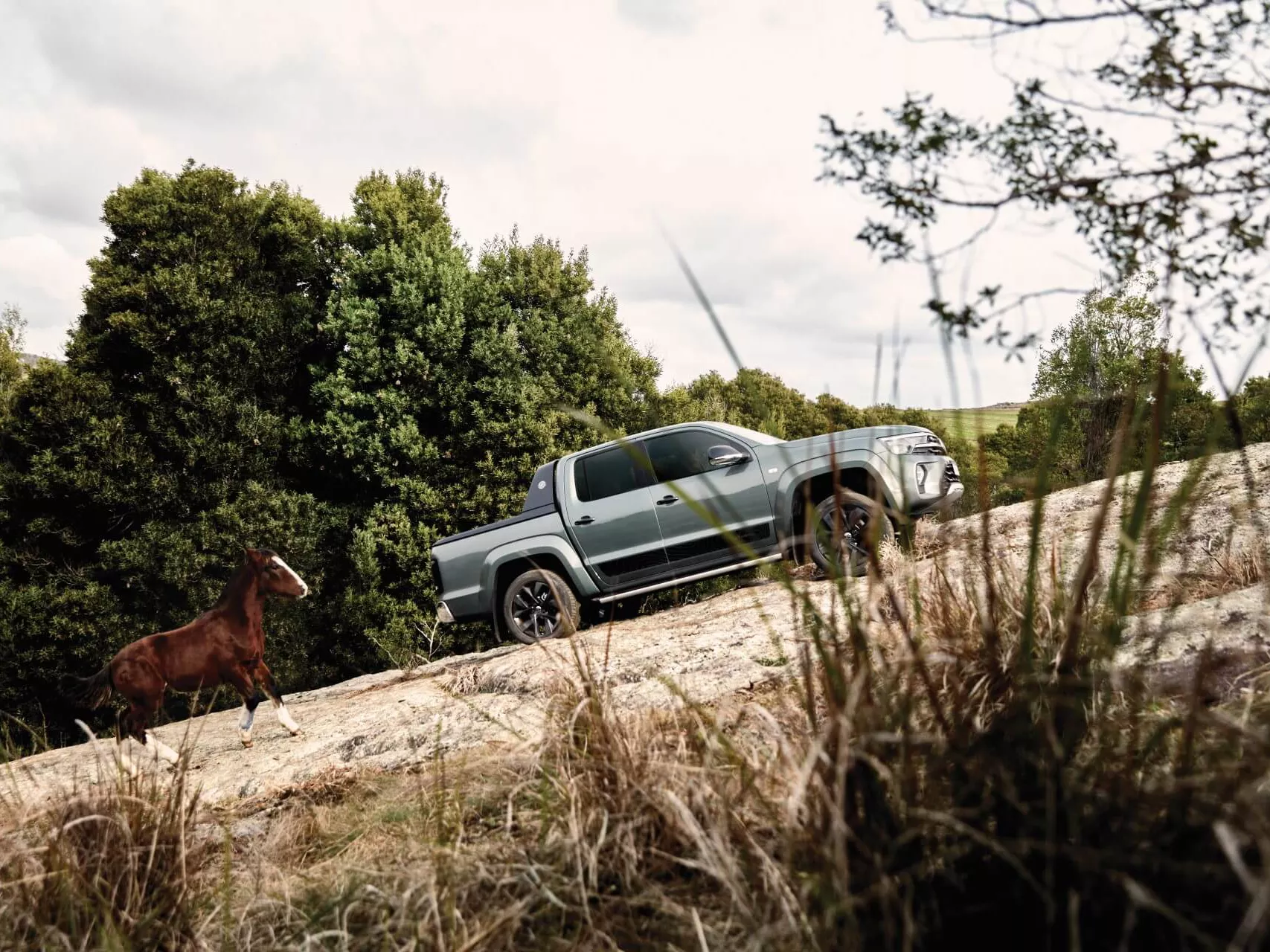 Archivo: asistente-ascenso-descenso.webp - Asistente de ascenso y descenso